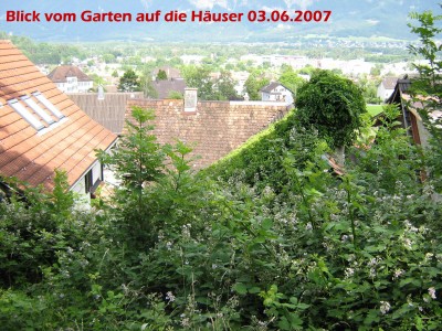 aussenjuni.jpg