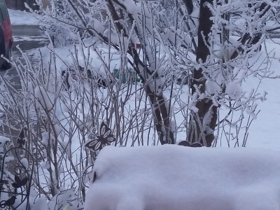 20160119_081117.jpg