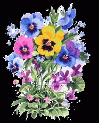 Blumen.Veilchen.gif