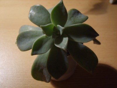 S8001542.JPG