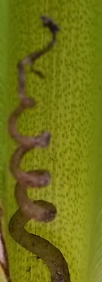 20150514_100202.jpg