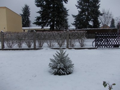 DSCN3104.JPG