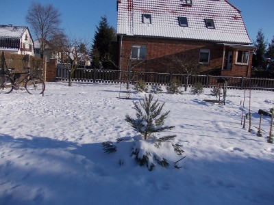 DSCN3189.JPG
