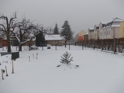 DSCN3254.JPG