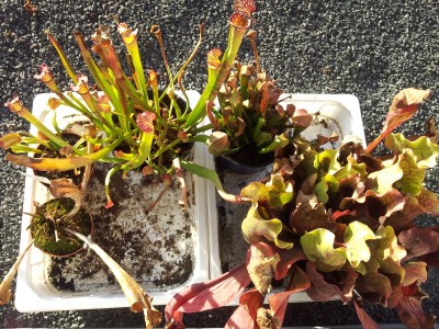 20160129_154538.jpg