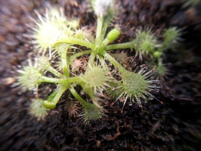 20160107_110905.jpg