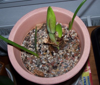 2016-01-30 027.jpg