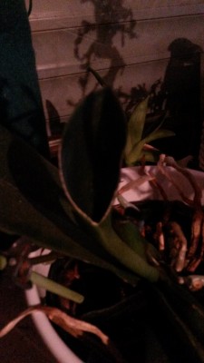 20160131_192700.jpg