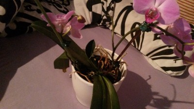 20160131_192720.jpg