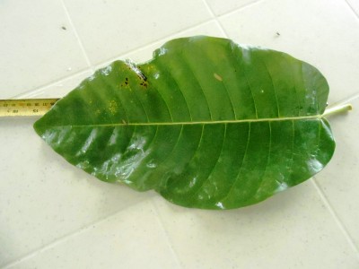 DSCN1178.JPG