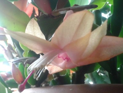 20160203_113909.jpg