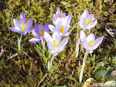 20160206_02.JPG