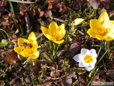 20160206_08.JPG