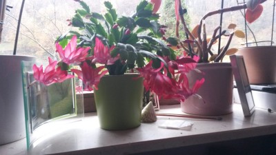 20151107_085928.jpg