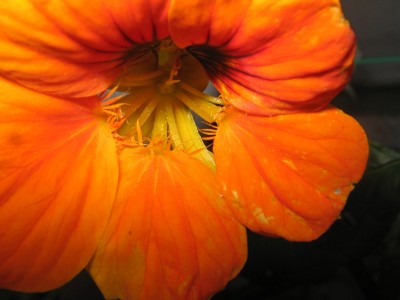 Test Oktober 004.JPG