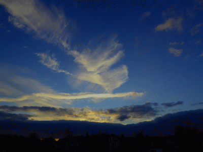 P1010138.gif