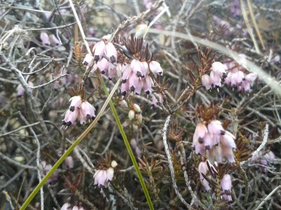 20160214_124616.jpg
