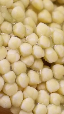20150526_164357.jpg
