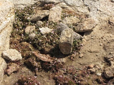 IMG_2741 Kopie.jpg