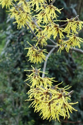 DSC01087.jpg
