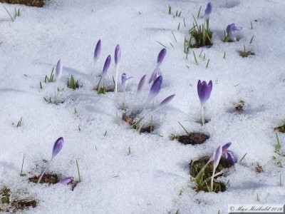 20160227_05.JPG