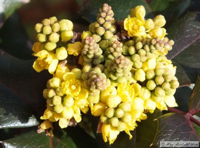 20160227_10.JPG