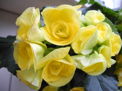 DSCN4757-k.jpg