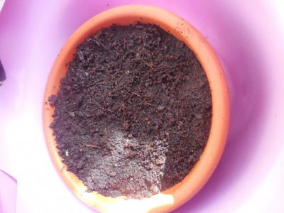 DSCN1962.JPG