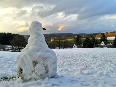 The sad life of snowmen 7.3.16.jpg