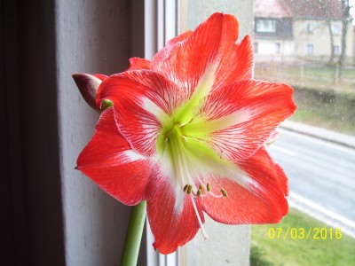 100_5021.jpg