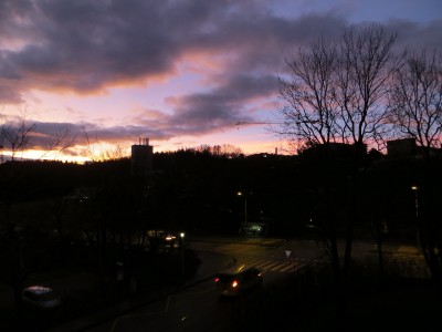 green 086.jpg