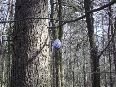 Ostern im Wald.JPG