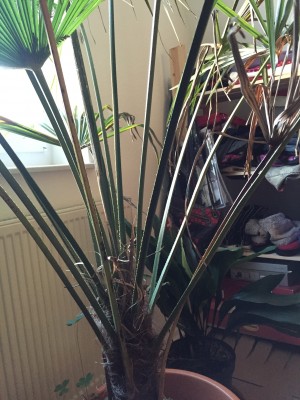 2016-03-18 07.21.23.jpg