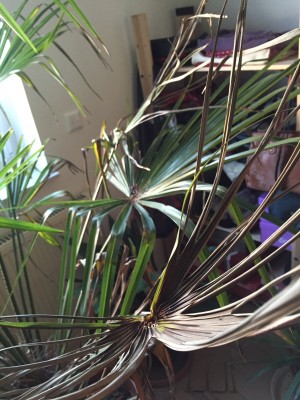 2016-03-18 07.21.34.jpg