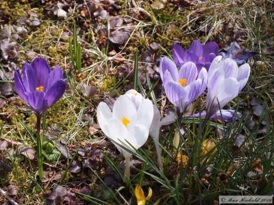 20160319_01.JPG