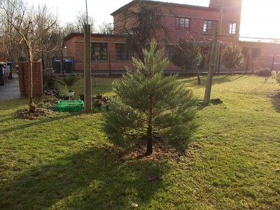 DSCN3036.JPG