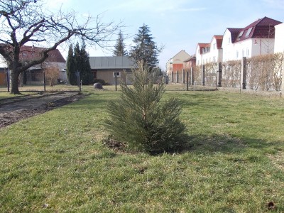 DSCN3288.JPG