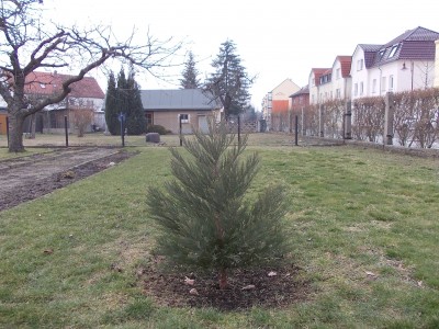 DSCN3294.JPG