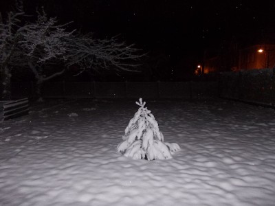 DSCN3329.JPG
