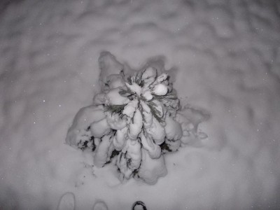 DSCN3382.JPG