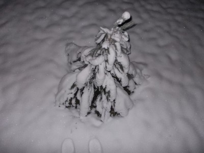 DSCN3381.JPG