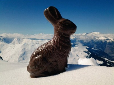 Weisshornhase Twitterversion.jpg