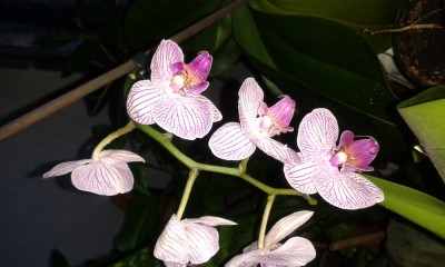 20160330_191409.jpg