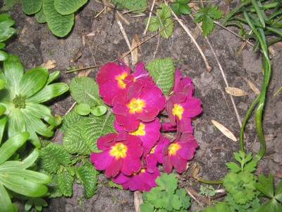 IMG_3504.JPG