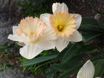 2016-04-06 08.24.03.jpg