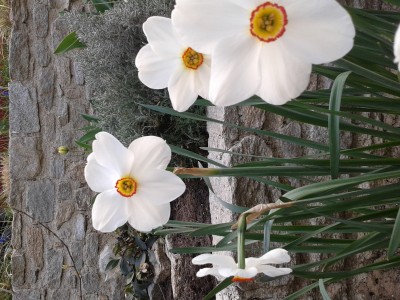 2016-04-06 08.24.43.jpg