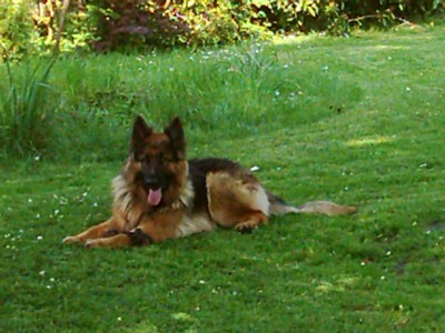 Bilder vom 29.04.2007 005.jpg