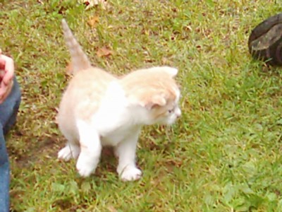 Bilder vom 23.09.2007 001.jpg