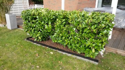 20160403_155724.jpg