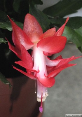 20160409_01.JPG